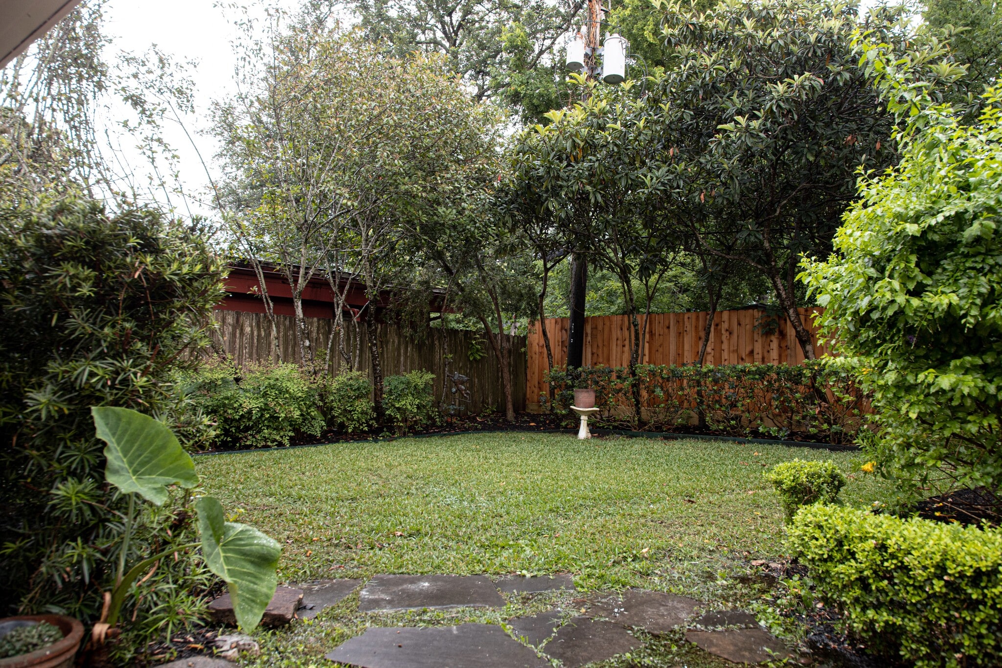 Backyard - 3619 Braeswood S Blvd
