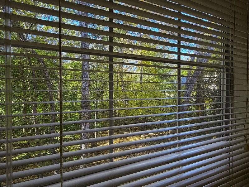 Building Photo - 6140 Gray Gate Ln