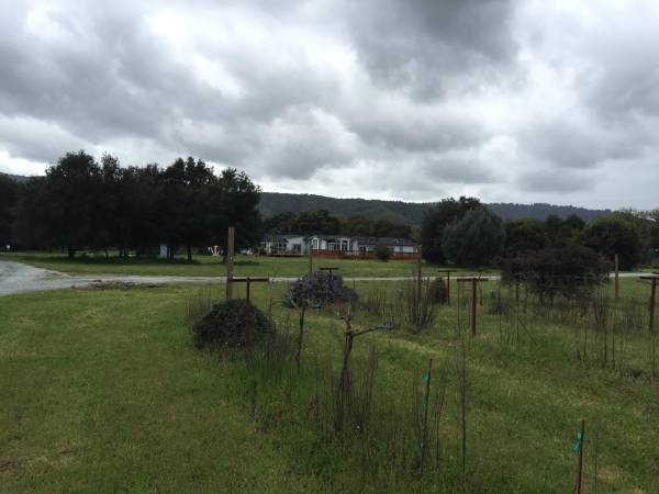 Building Photo - 9385 Burchell Rd
