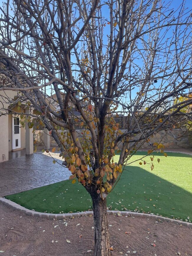 Building Photo - Amazing 3 bedroom 2 bath home in East El Paso!