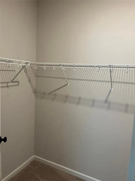 Building Photo - 4733 Cypress Pk Dr