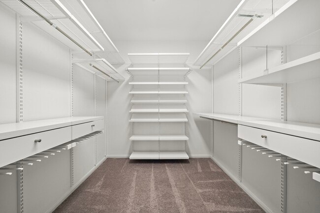 Building Photo - 2812 Pranzo Ln