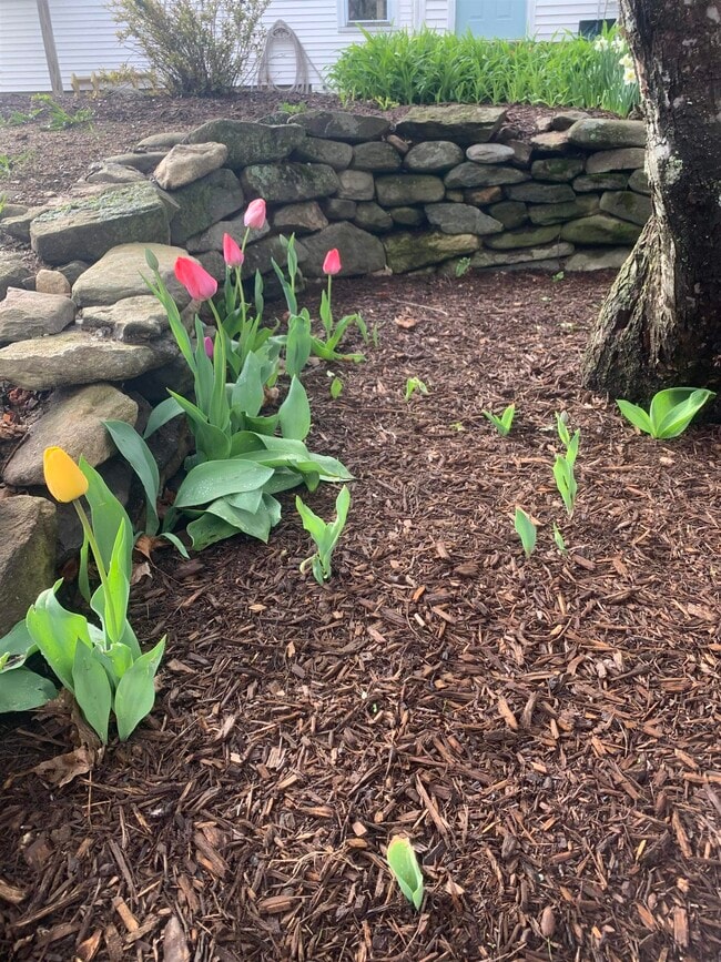 Building Photo - 293 Bear Hill Rd