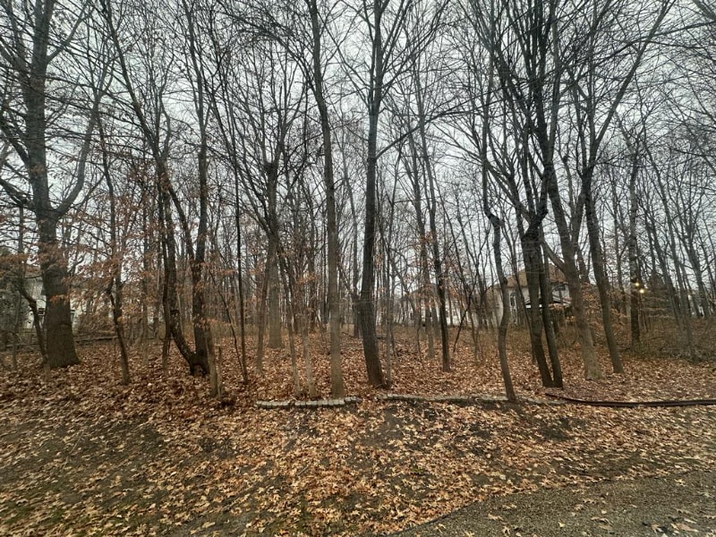 Building Photo - 7791 Everest Ln N