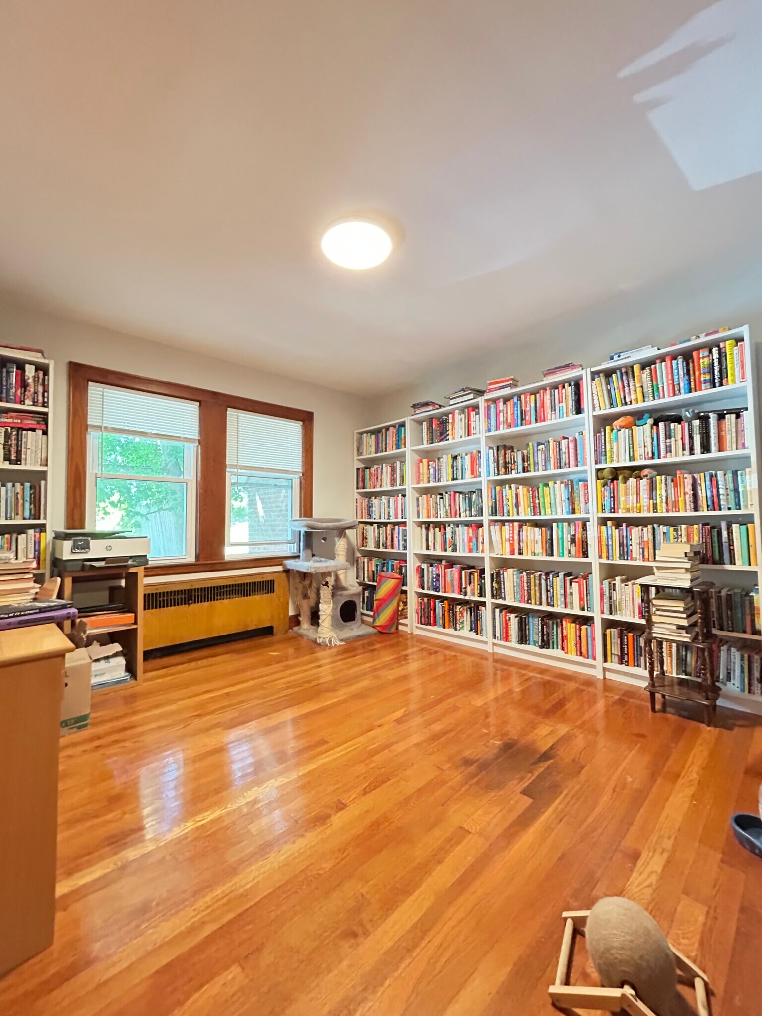 Building Photo - 46 Dimmock St