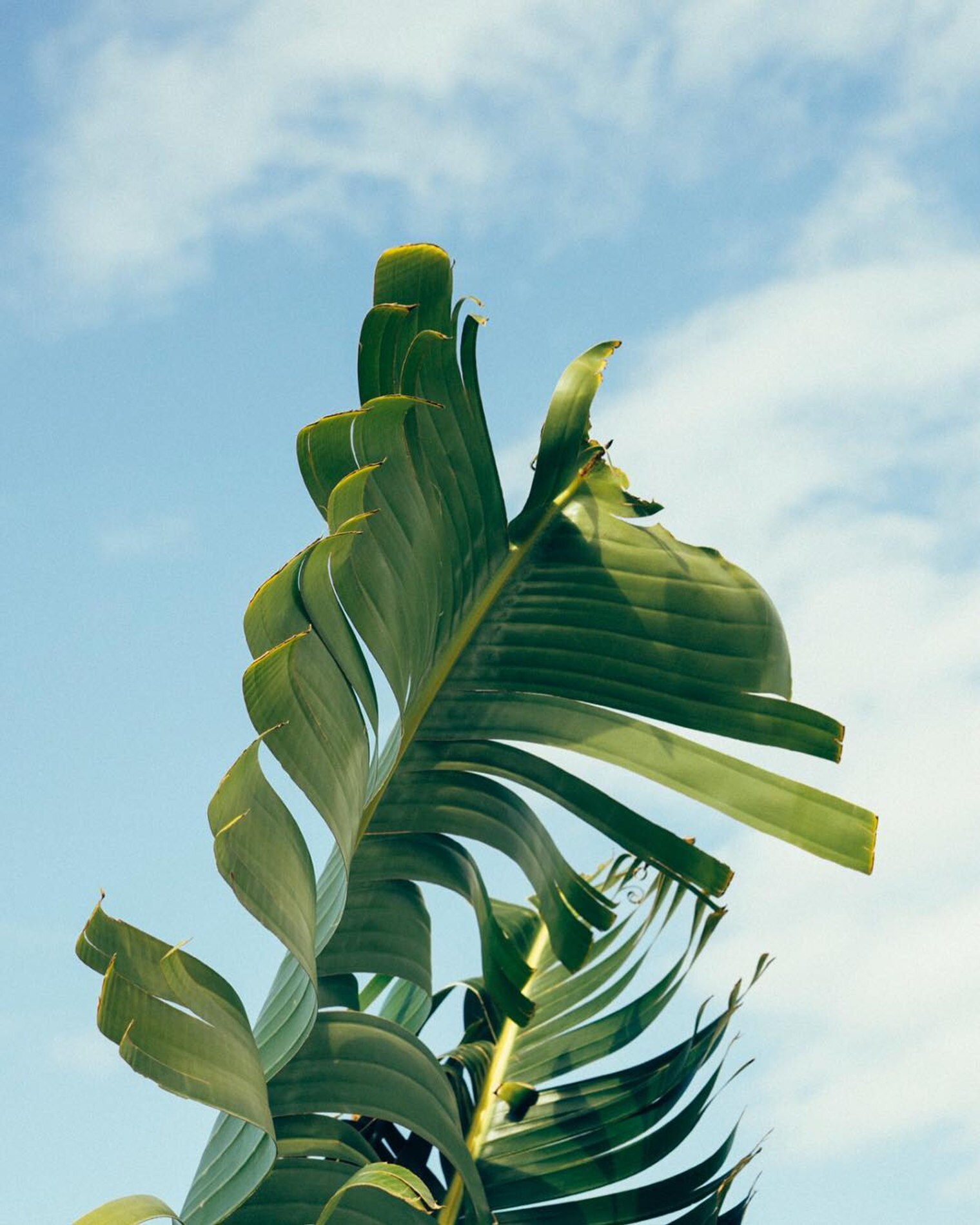 Building Photo - 747 4th St