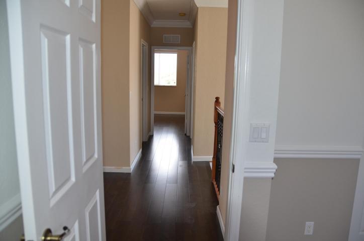 Primary Photo - 37 Country Lake Cir