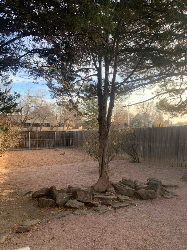 Building Photo - 2528 Taylor Ln