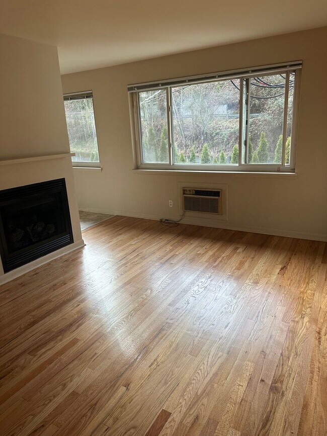 Interior Photo - Blue Dolphin