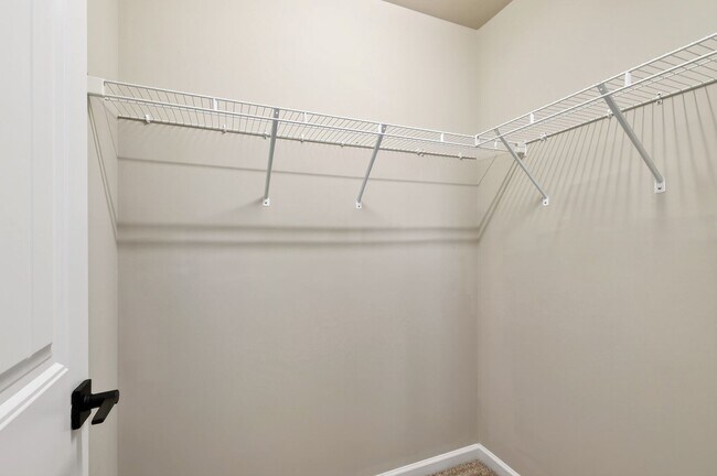 Building Photo - 117 Holly Berry Ln