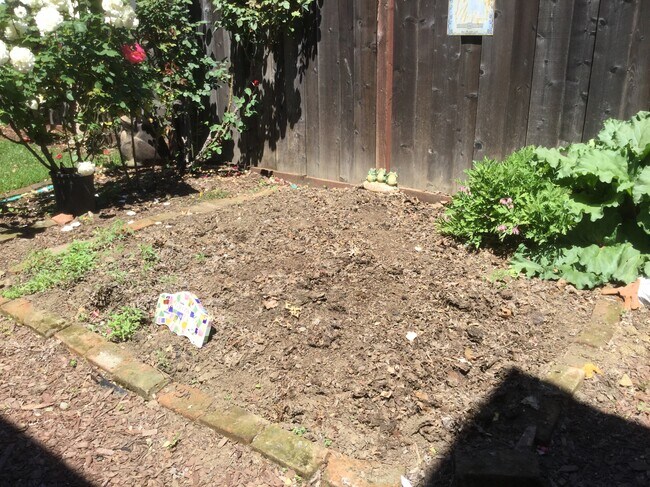 vegetable garden area - 11 Marin St