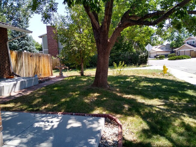 Building Photo - Gorgeous 2 Story 3 Bedroom 2.5 Baths in Da...
