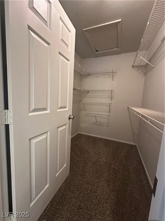 Building Photo - 2604 Ponderosa Pine Ave