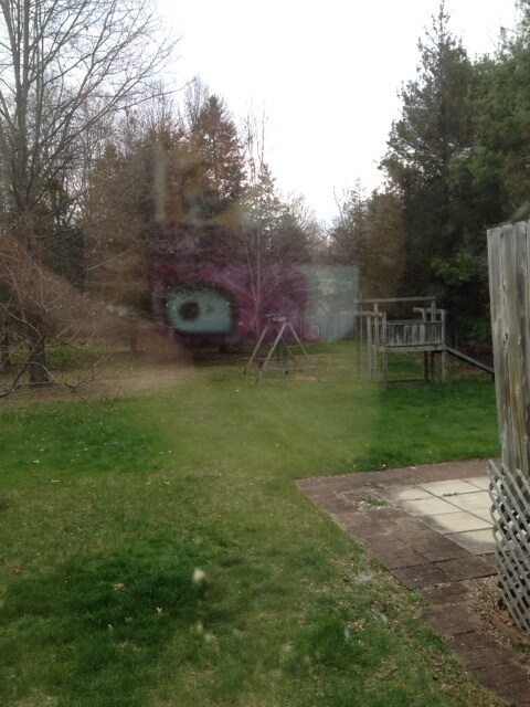 Building Photo - COMING SOON!! SPACIOUS RANCH HOUSE ON ONE ACRE W/ATTACHED GARAGE