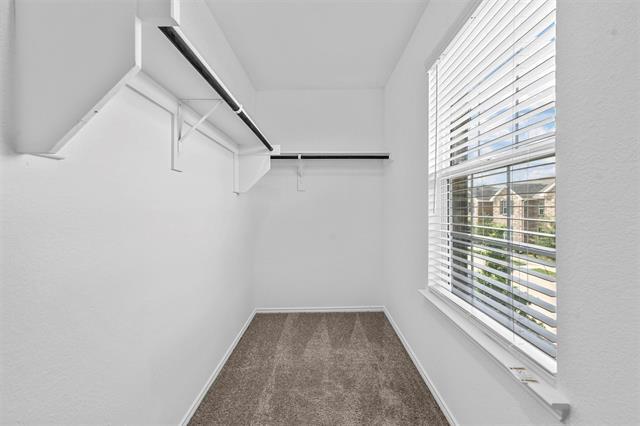Building Photo - 1256 Jones Trl