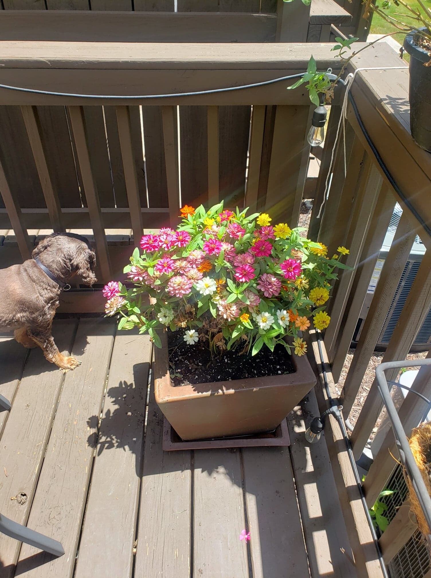 Building Photo - 1256 Liberty Pkwy NW