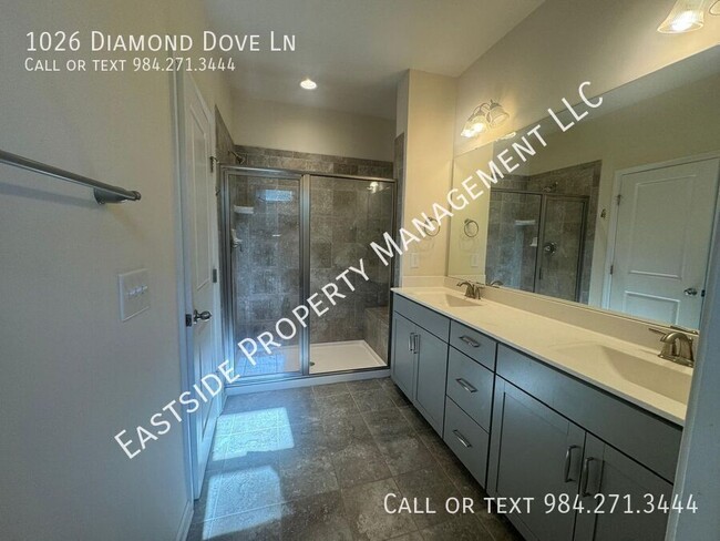 Building Photo - 1026 Diamond Dove Ln