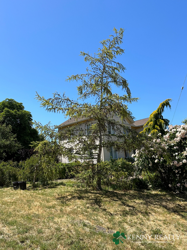 Building Photo - 3 Bedroom, 3 Bathroom Ranch Home in Petaluma