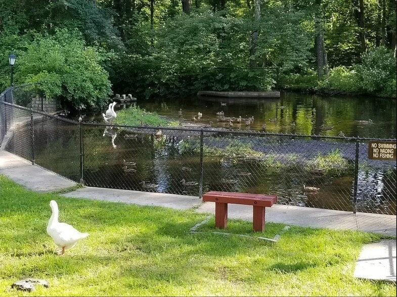 Building Photo - 3 Shadowbrook Ln