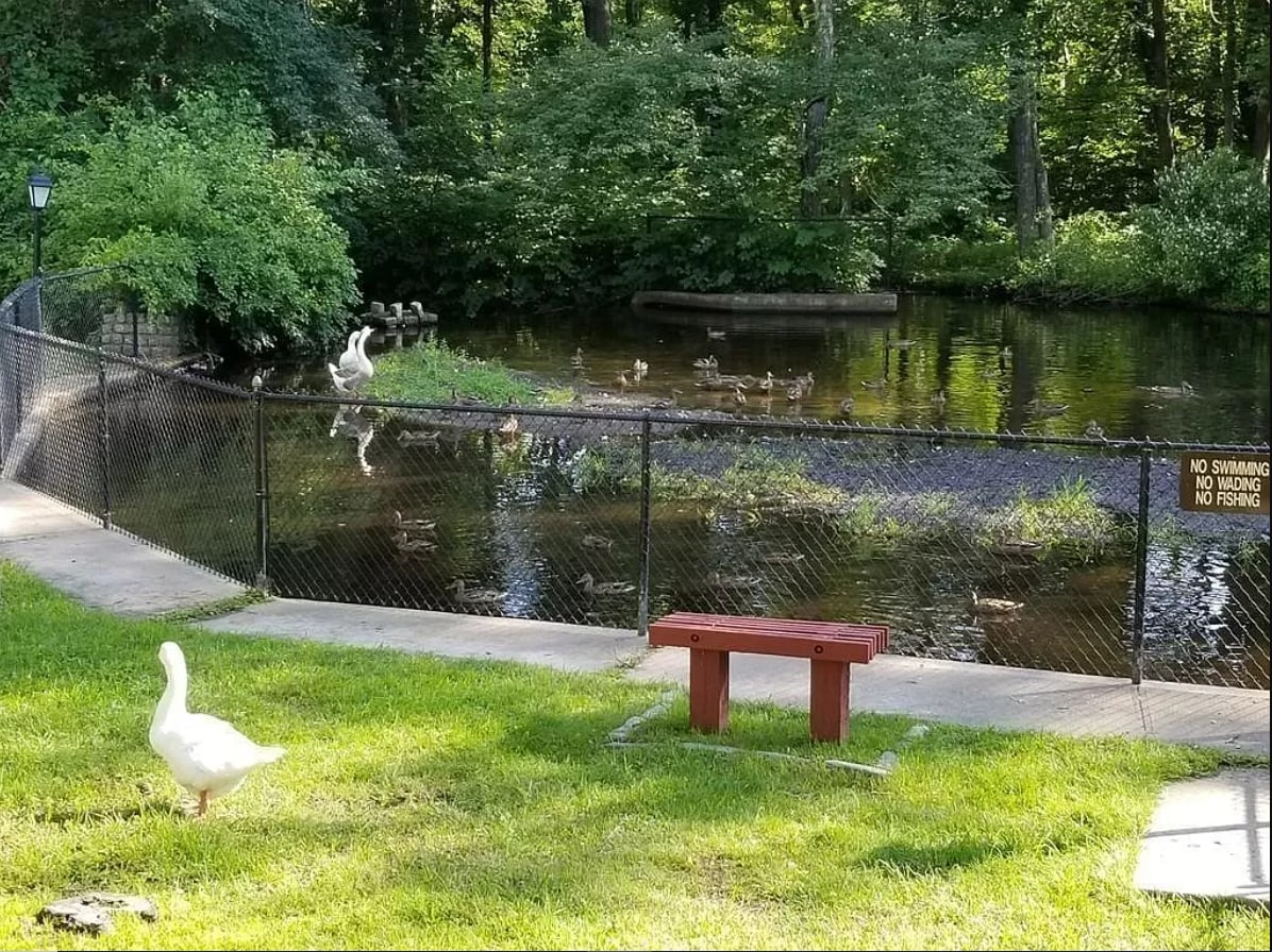 Building Photo - 3 Shadowbrook Ln