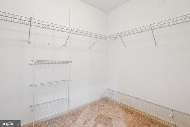 Building Photo - 1525 Rabbit Hollow Pl