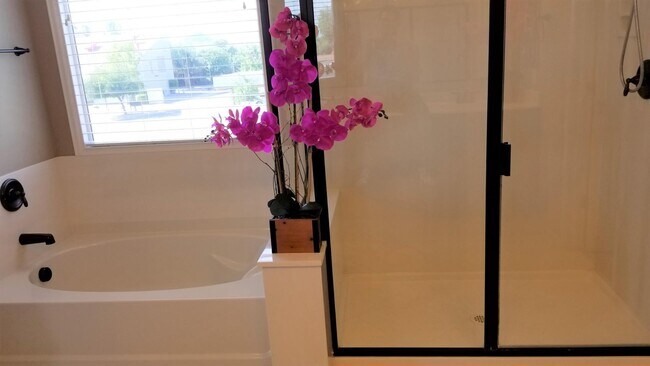 Building Photo - 2248 E Ottawa Ln