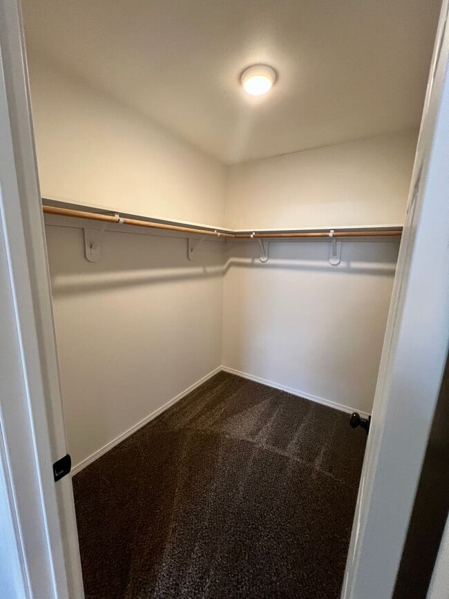 Building Photo - Fresh Paint and Flooring! Great Value and ...