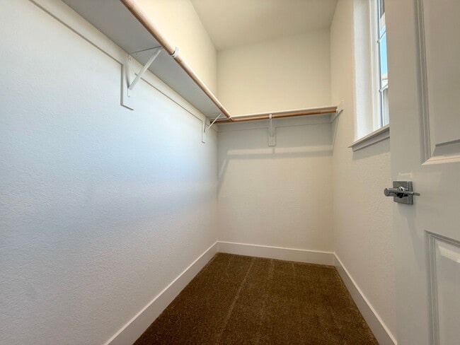 Building Photo - Brand New 4 Bed 3 Bath Martinez Home - Jus...