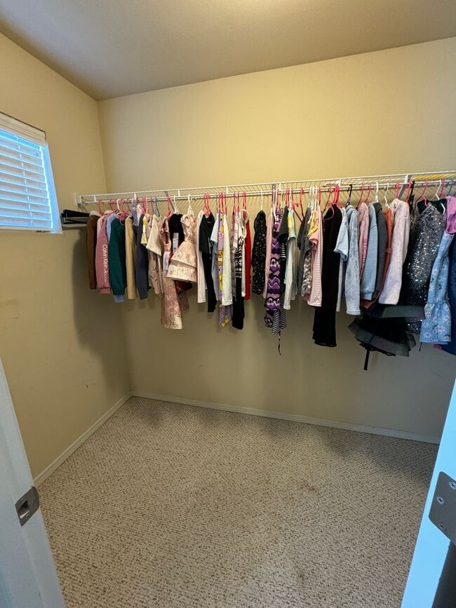 Building Photo - 1175 Swan Loop