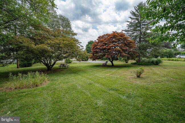 Building Photo - 533 Monument Ave