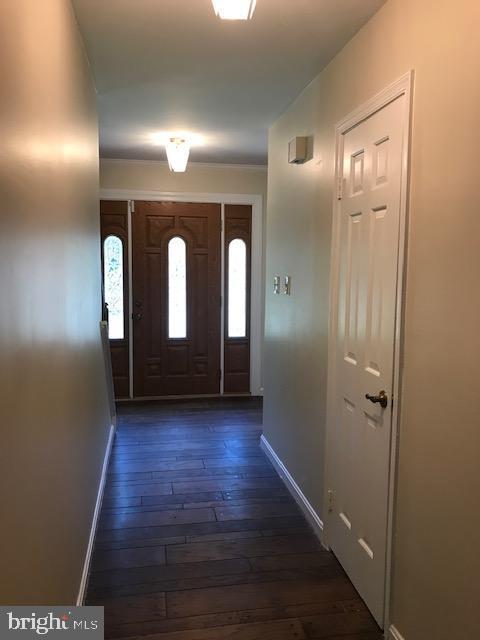 Building Photo - 4091 Shady Knoll Ct