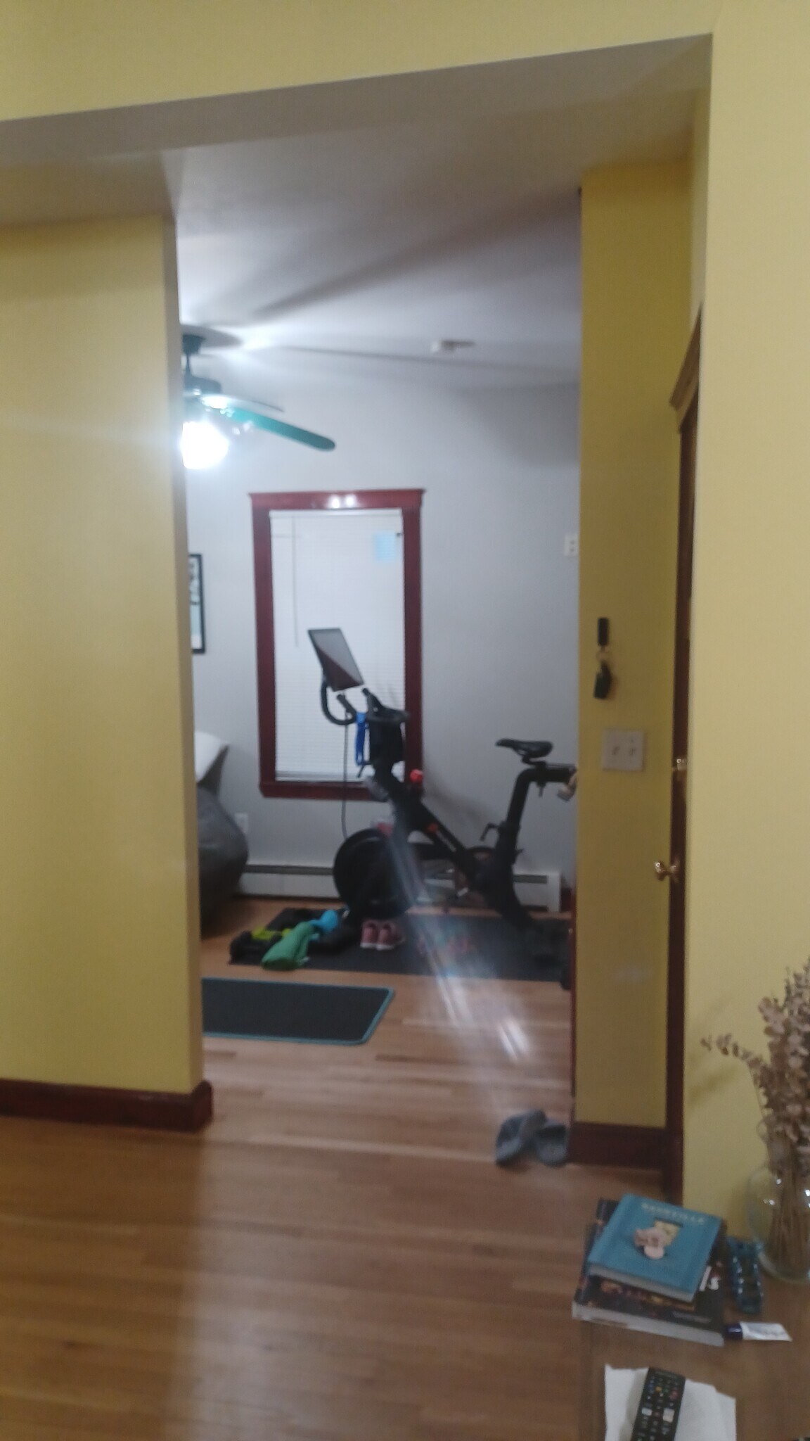 Flex Room - 8 Buttonwood St