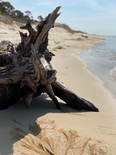 Building Photo - 2-32A Mason Ave