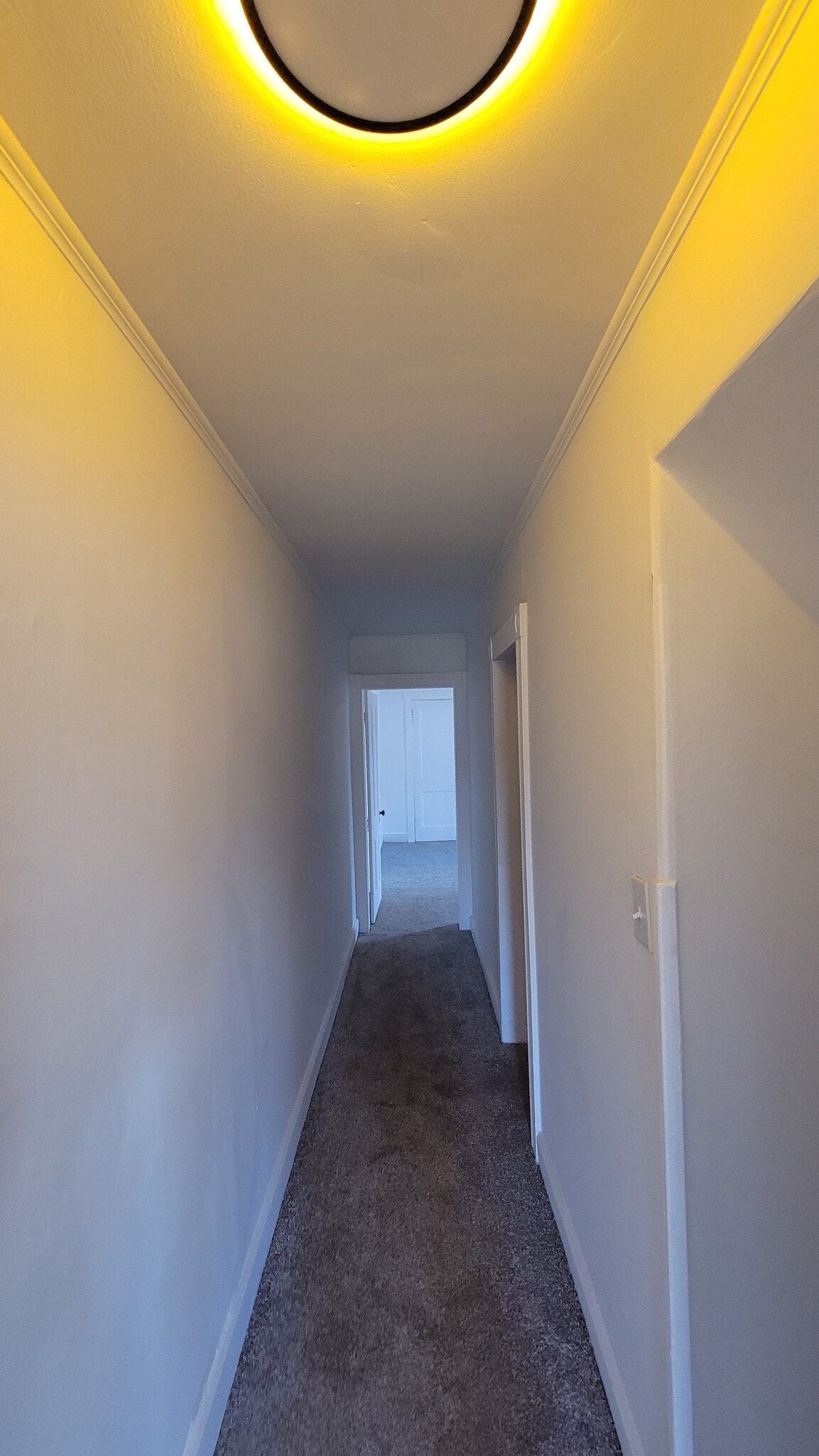 Building Photo - 74 Blocker St