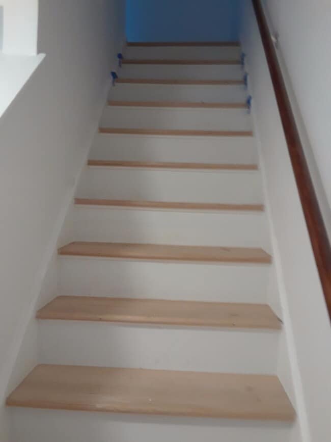 Building Photo - West End, Maymount, Fan Area