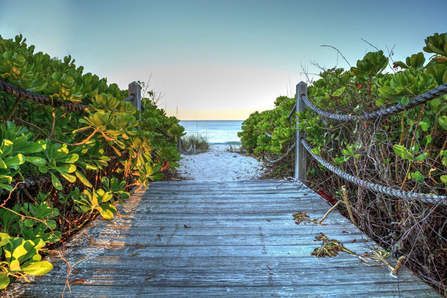 Building Photo - 1669 Colleen St