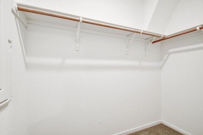 Building Photo - 538 Paul Cyn