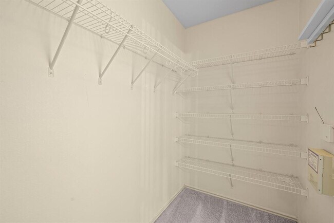 Building Photo - 1142 Stone Forest Trail
