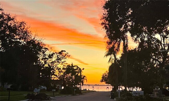 Building Photo - 329 Bernard Ave