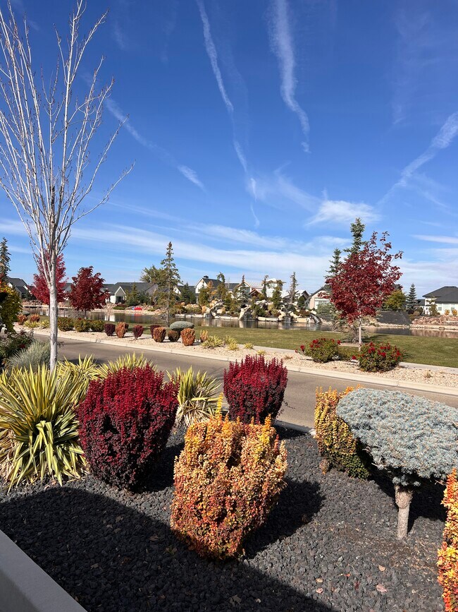 Building Photo - 8108 W Grey Alder Dr