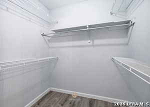 Building Photo - 13811 Stone Hollow