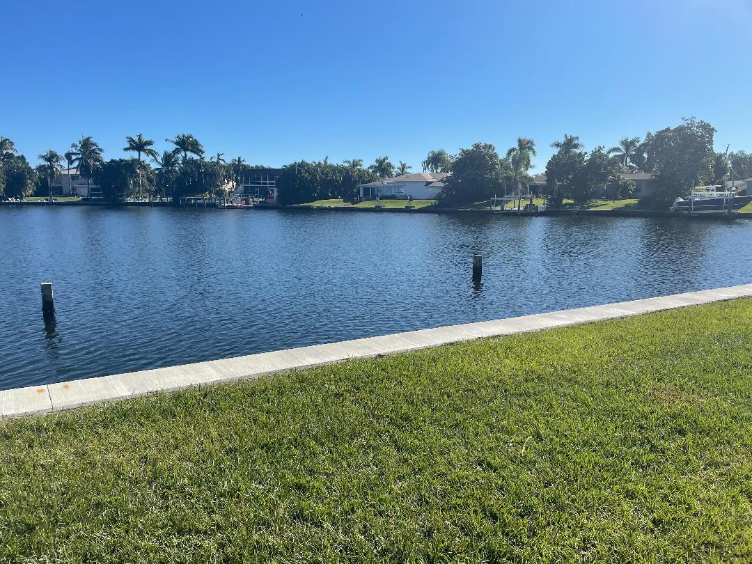 Backyard View - 1431 Flagler Blvd