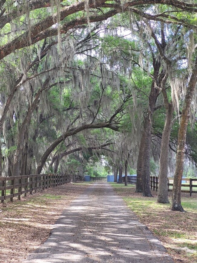 Building Photo - Little Lake Weir Waterfront FENCED 3BR/2BA on 6 Acres with Horse Barn, Private Boat Ramp & Dock