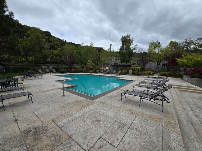 Building Photo - Remodeled Lower Level Condo in Oakland, CA...