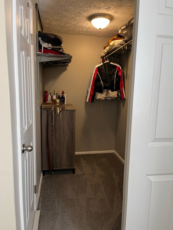 Building Photo - 2919 Ruskin Ct