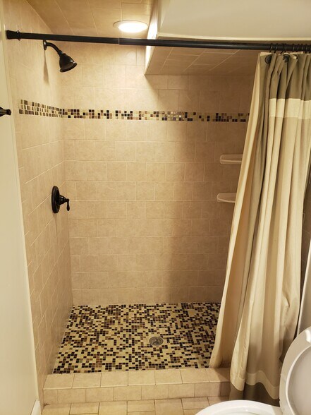 Basement Bathroom Shower - 3302 Schuck St