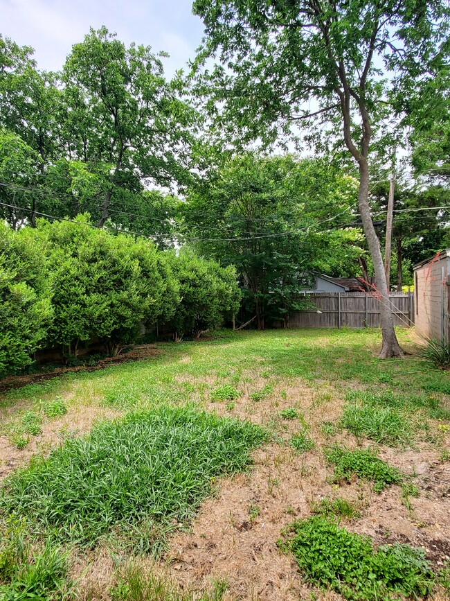 Privately Fenced in Backyard - 10111 Kilarney Dr