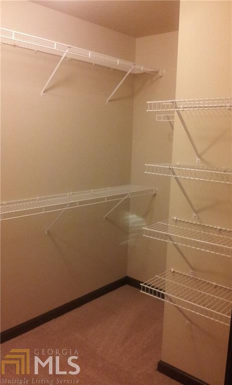 Building Photo - 6260 Crested Moss Dr