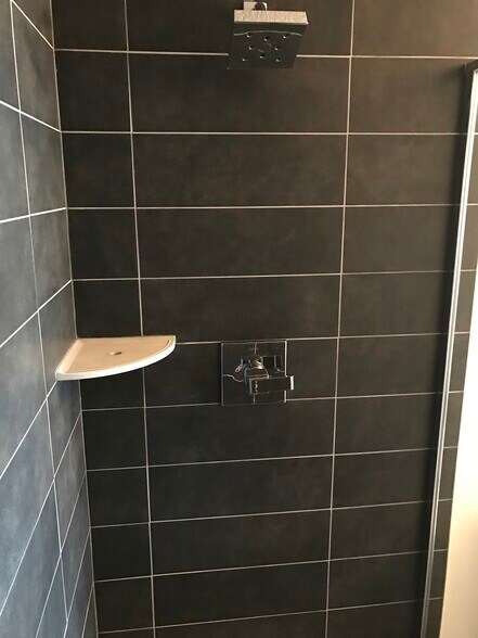 Master shower - 2978 Ripple Pl