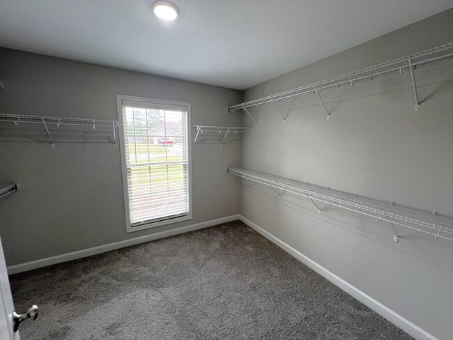 Building Photo - Available February!